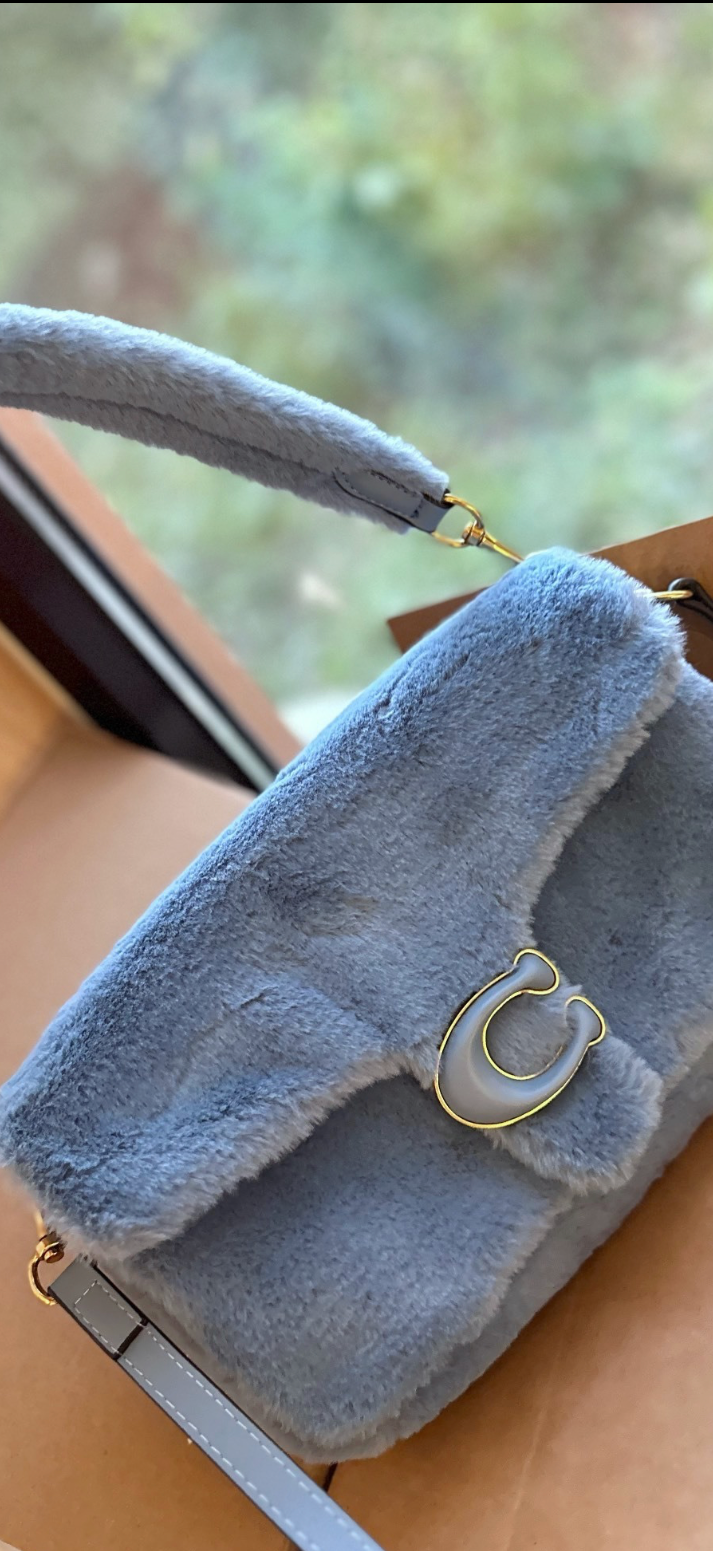 Blue purse