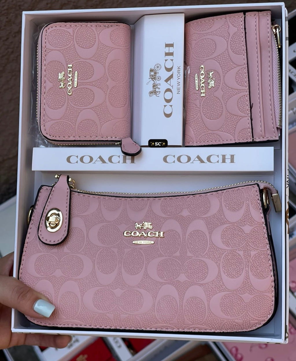 Purse set 💖