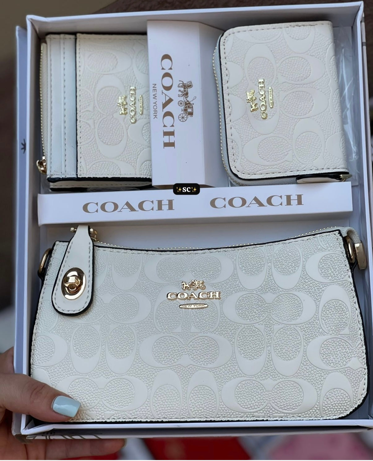 Purse set 💖
