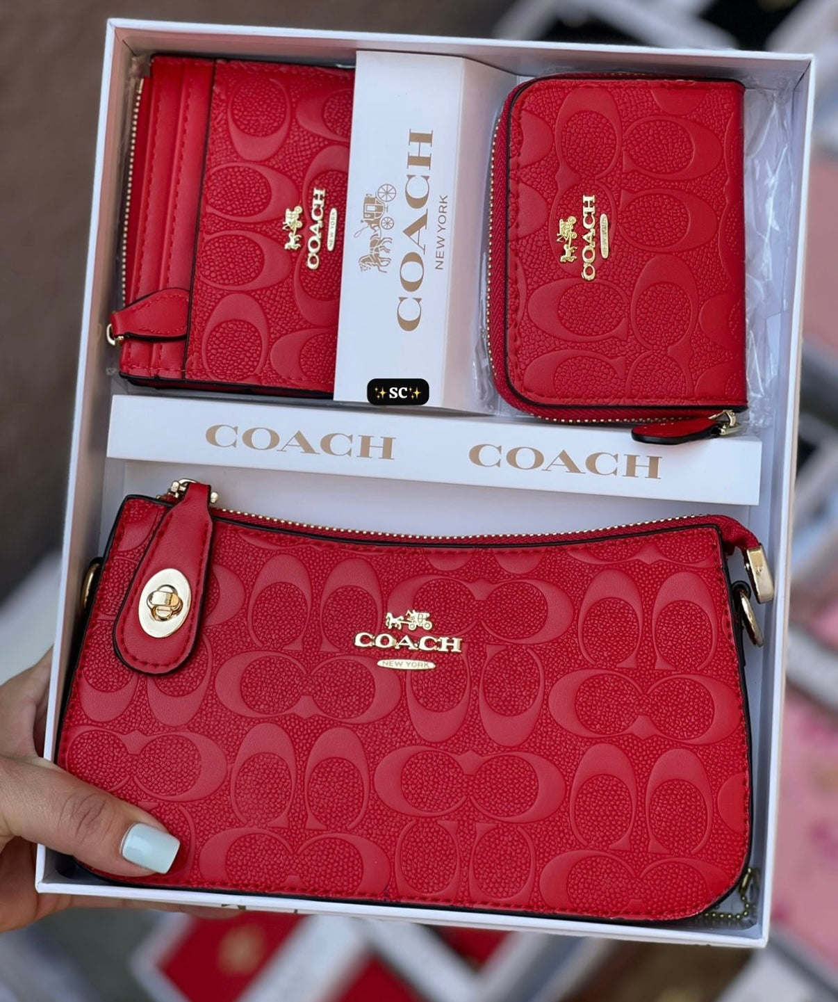 Purse set 💖